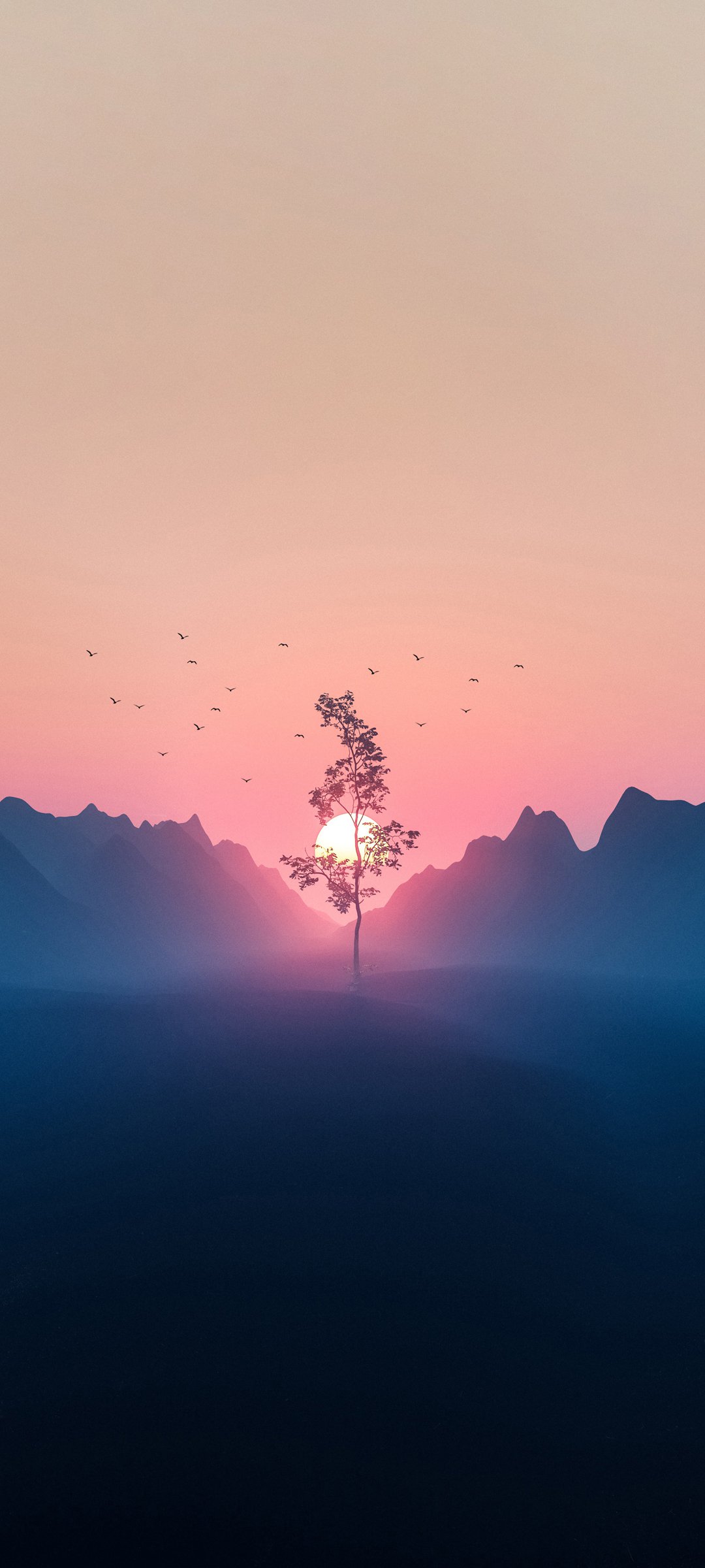 Լ 羰   Сֽ