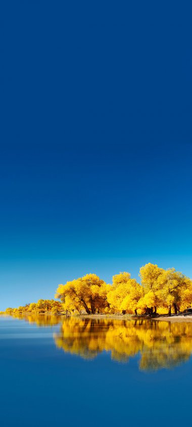 Ϊ Huawei Mate 40 Pro δ֮ 羰 