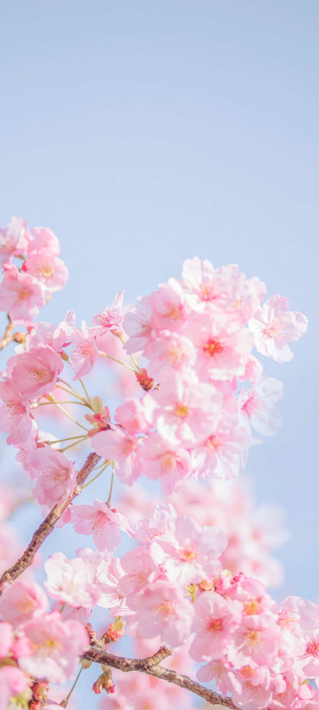 ɫӣշ羰ֽֽ