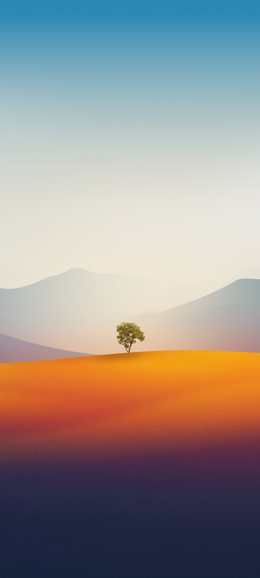 ƻ Լ羰 һ ֽ