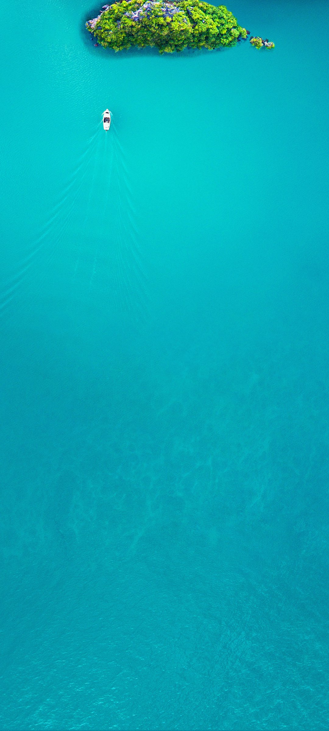 ɫ ɫС 羰ֽ