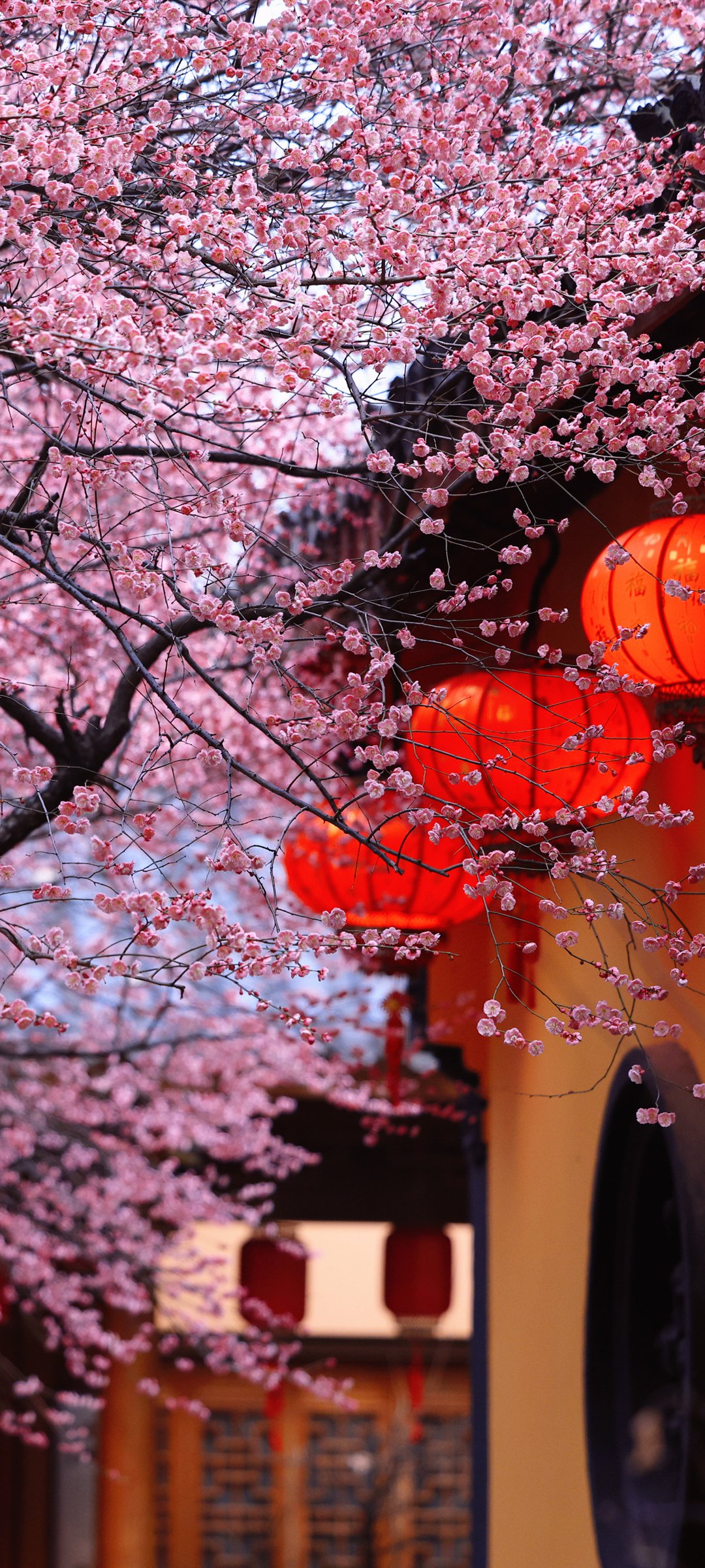 º÷ֻ羰ֽֽ