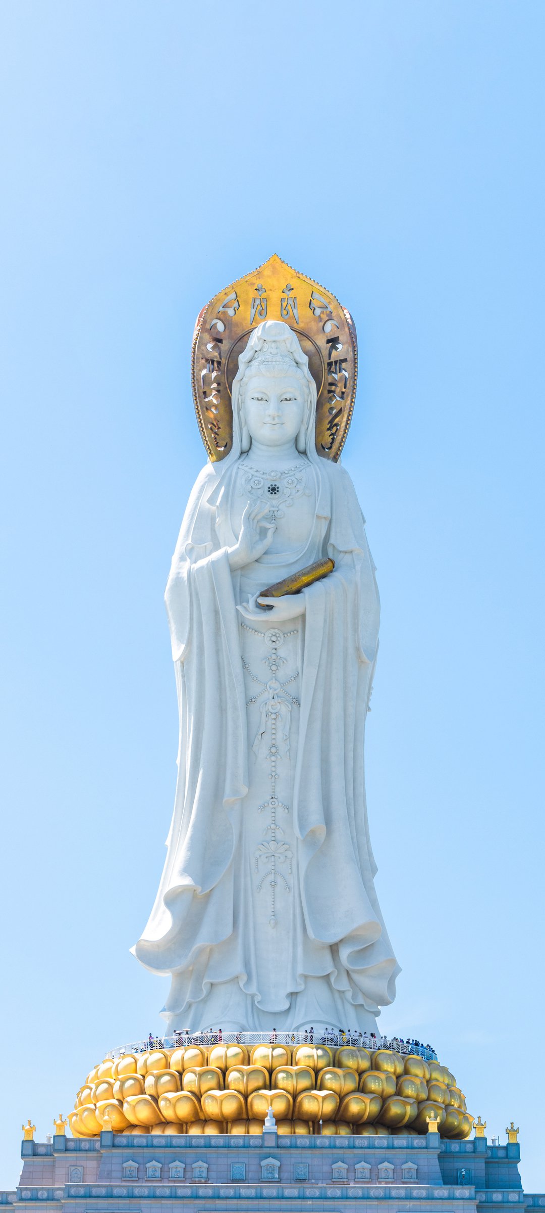 Ϻֽ