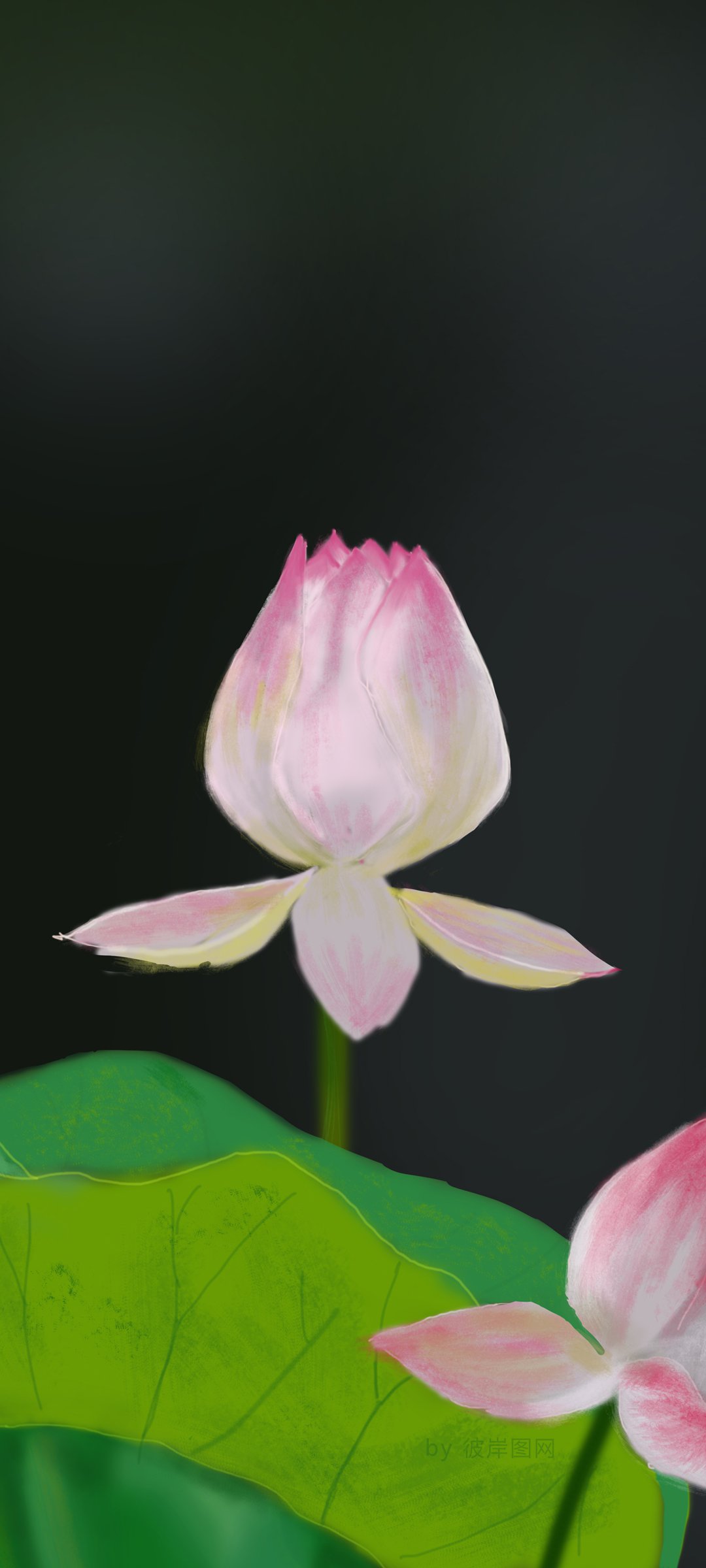 ɻ ɰźɻֻֽֽ