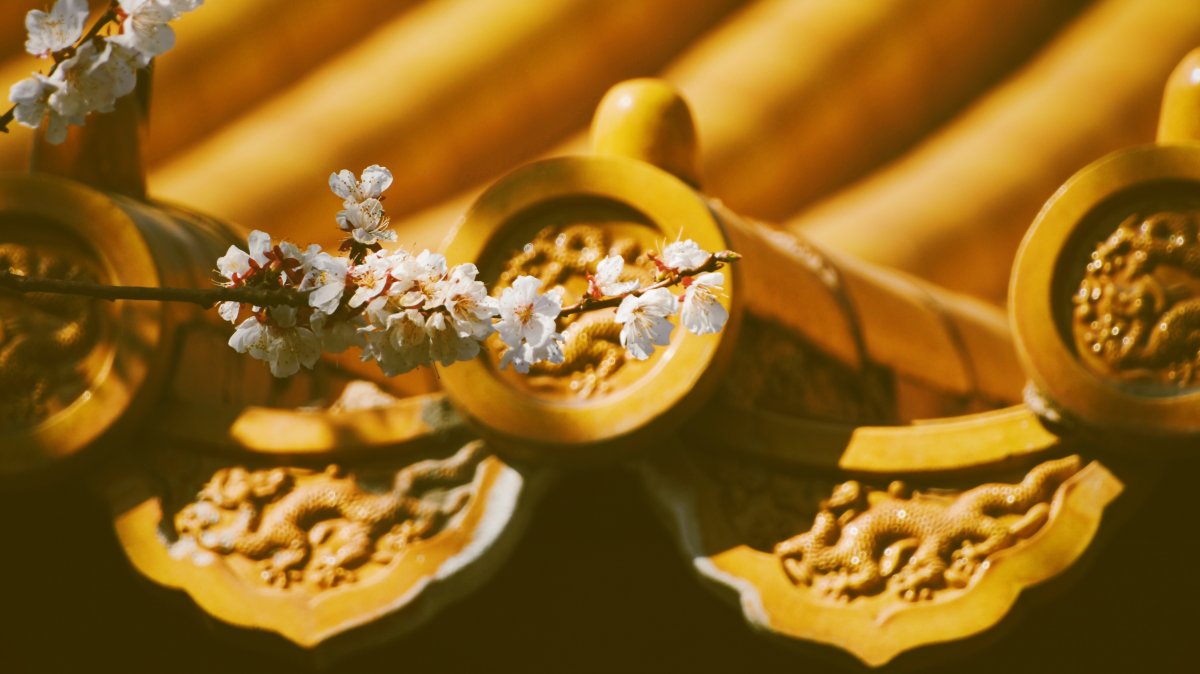 ֲܾͼƬ
