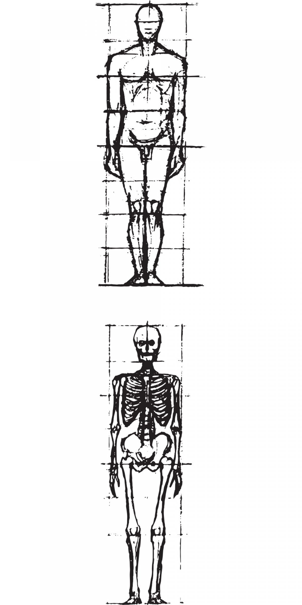 ҽѧ幹ͼƬ