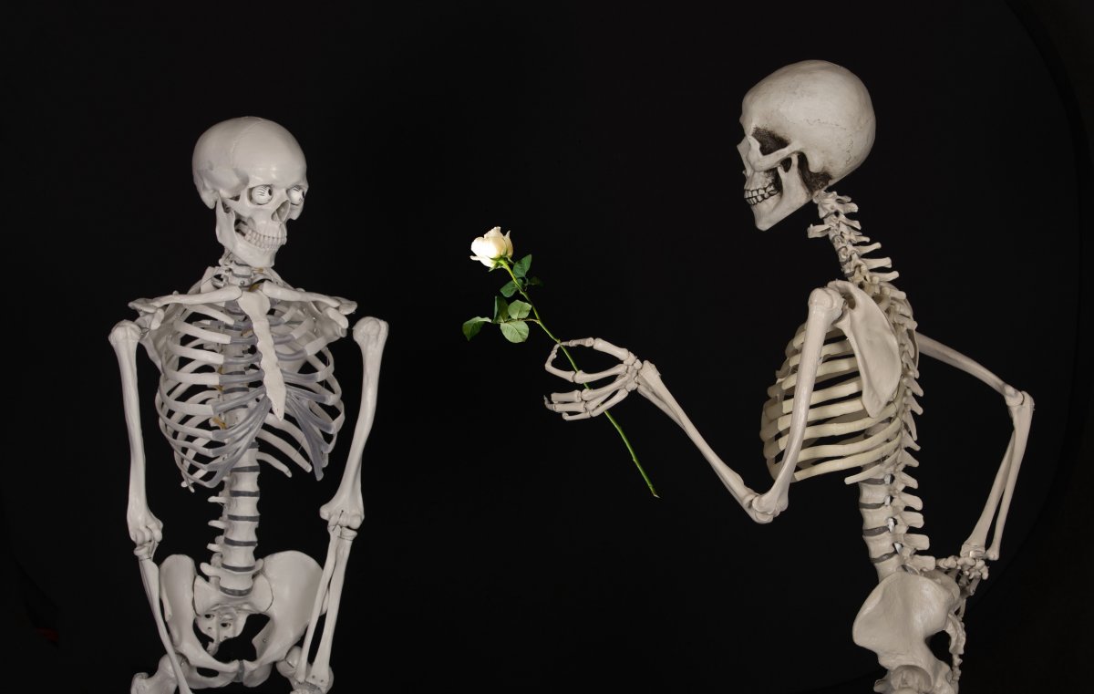ͼƬ