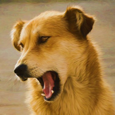 Сƹ滭ͼƬ
