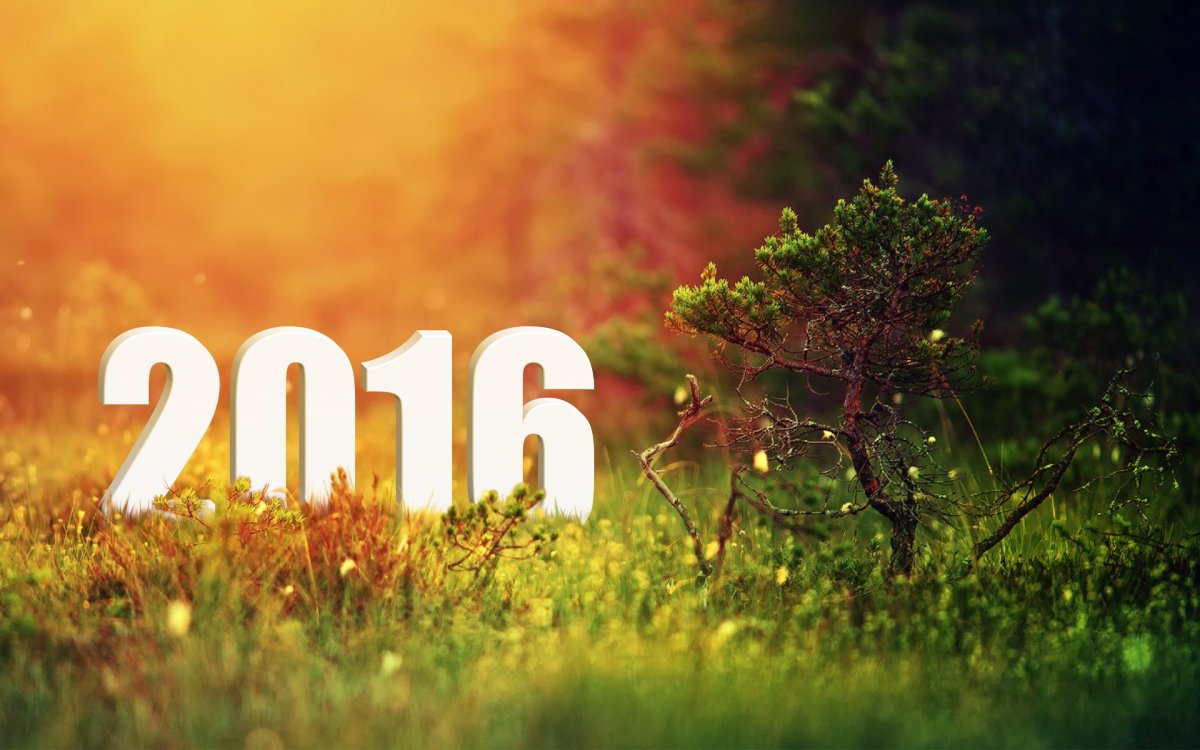 2016ΨֽͼƬ