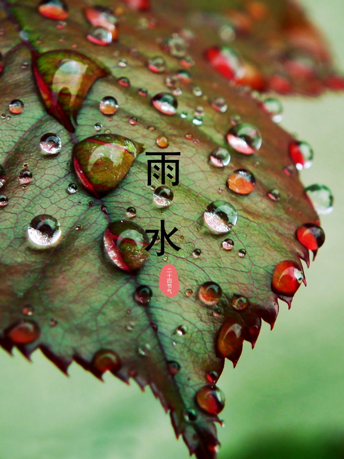 ˮͼƬ