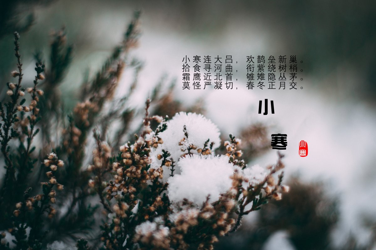 СйصĹʫͼƬ