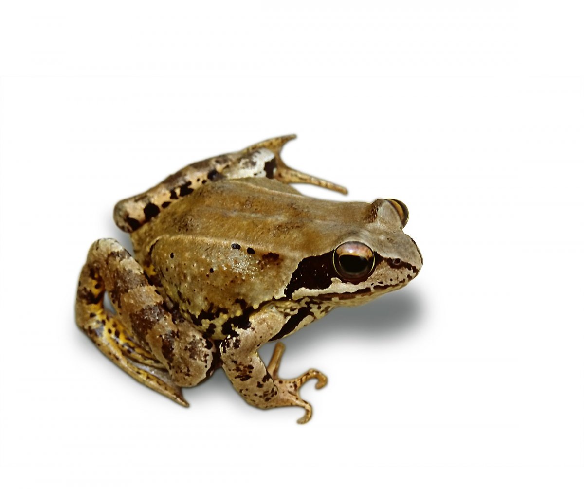ҰͼƬ