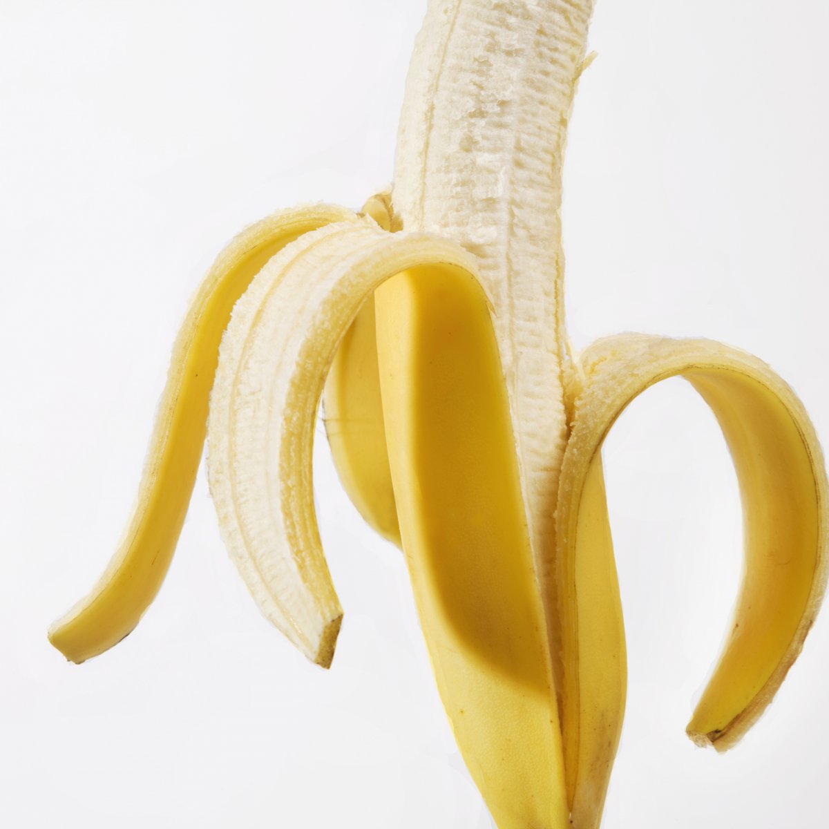 㽶ͼƬ