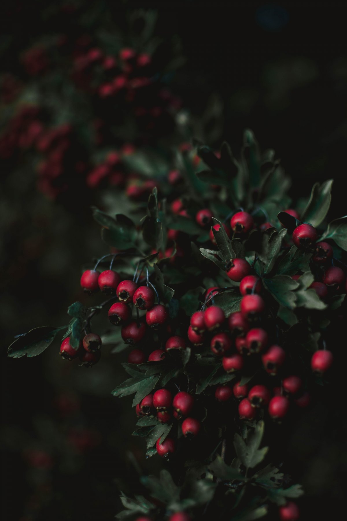 ҰɽͼƬ