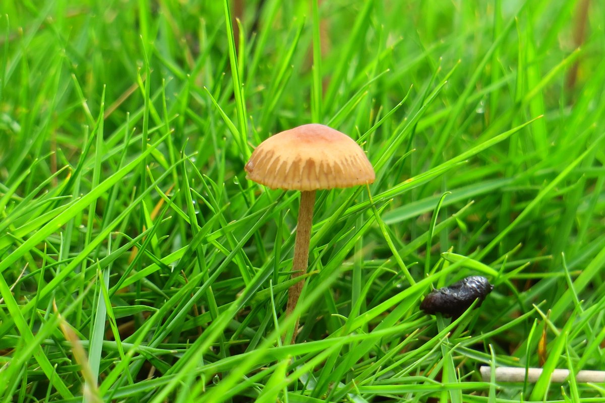 ݵСĢͼƬ