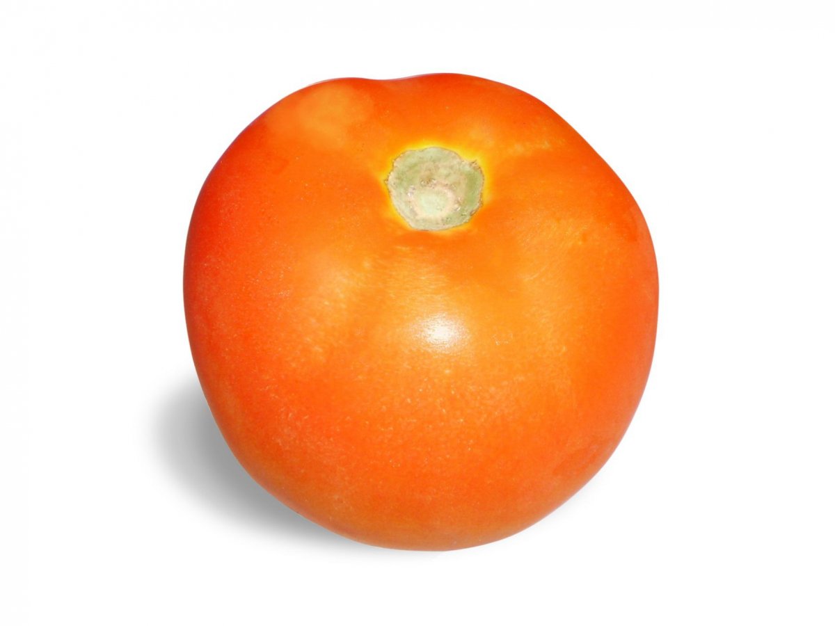 ͼƬ
