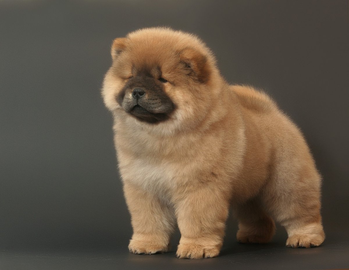ʨȮͼƬ