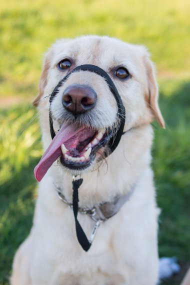 ȮͼƬ