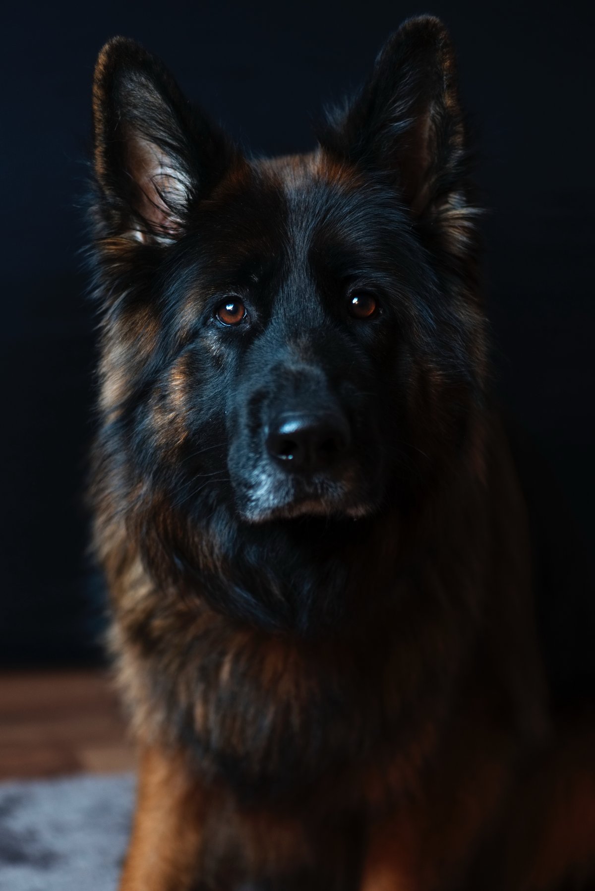 ˧ͼƬ