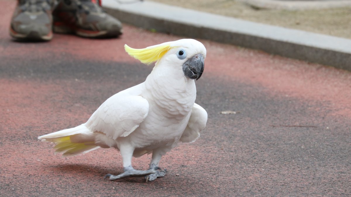 ɰɫͼƬ