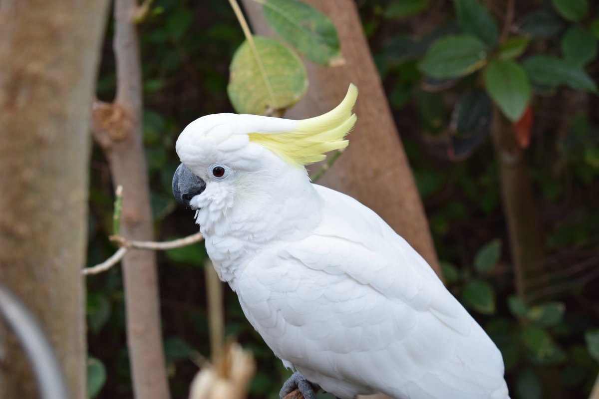 ͼƬ