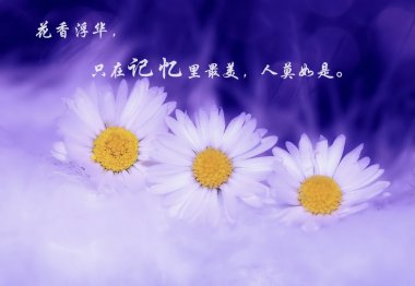 ֵͼƬ˵˵