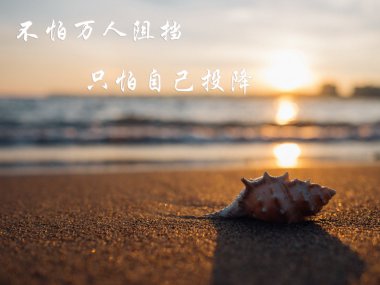 ˵˵ͼƬ