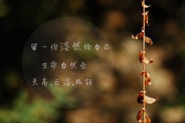 qq˵˵ΨͼƬ