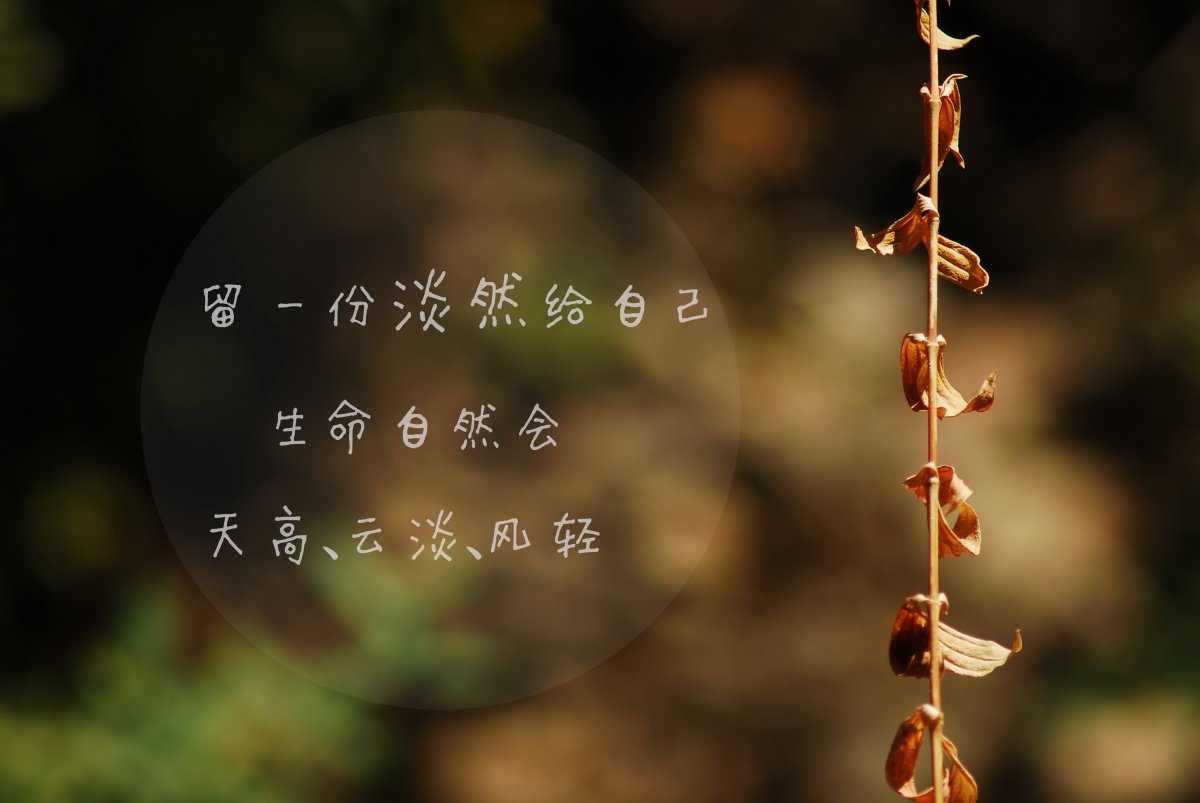 qq˵˵ΨͼƬ