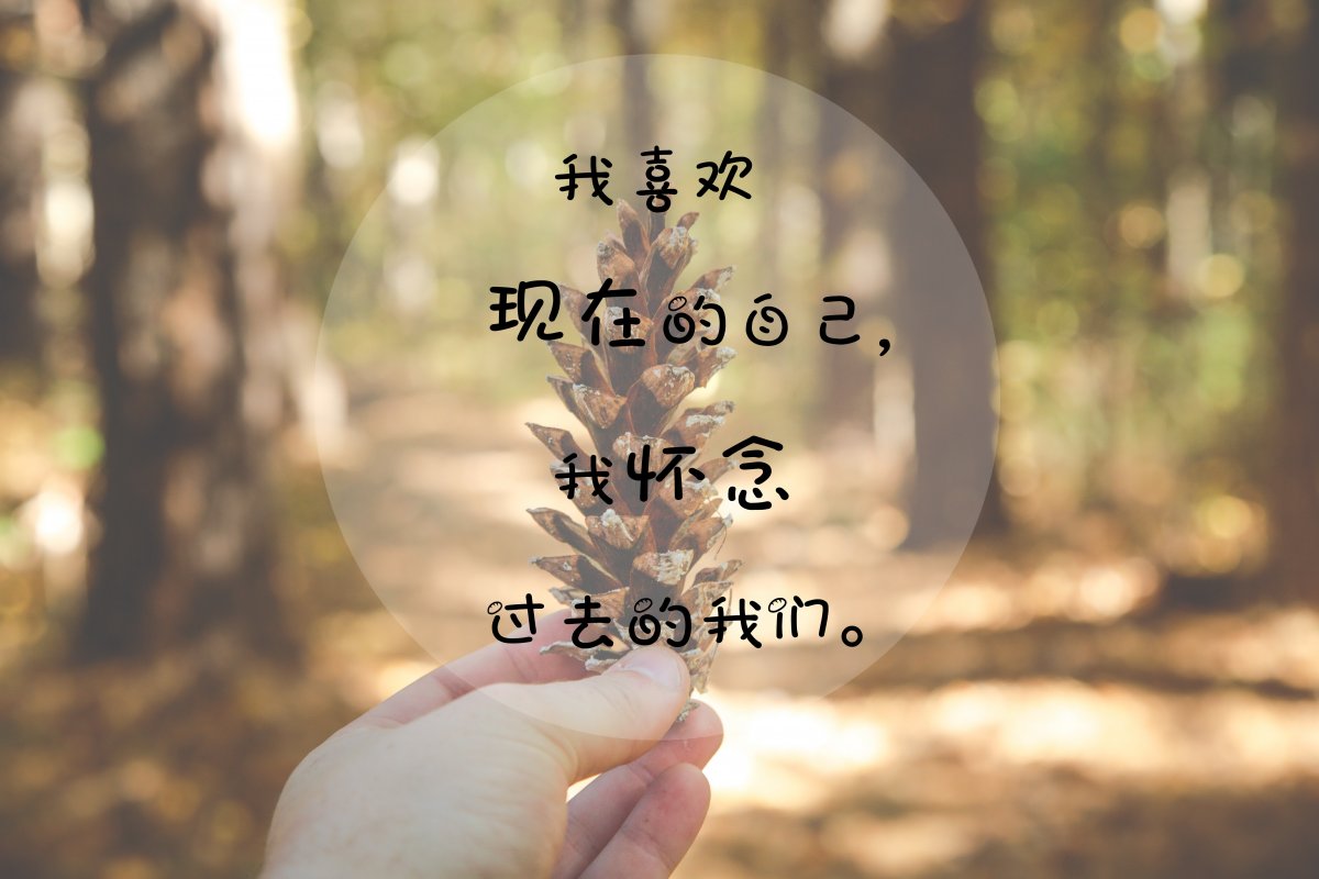 ֵͼƬ