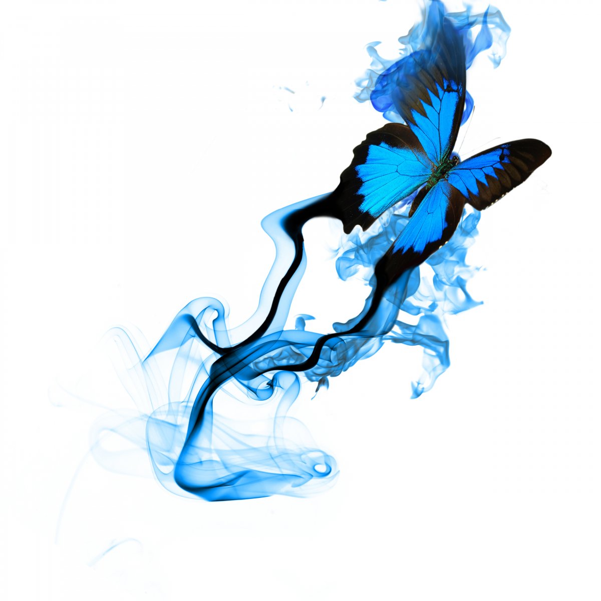 ΨλúͼƬ