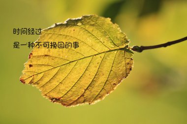 ˵˵ͼƬ