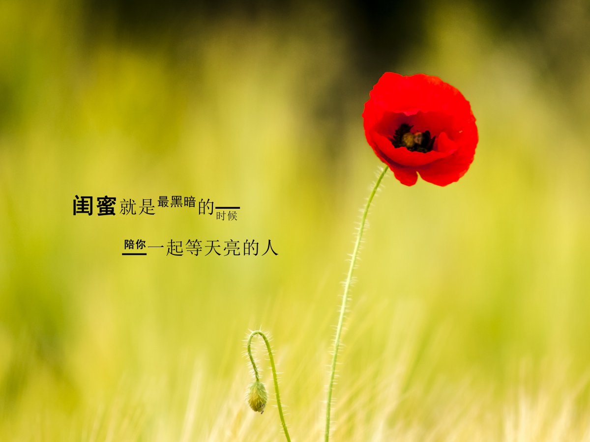 ͸۵ůĵĻ