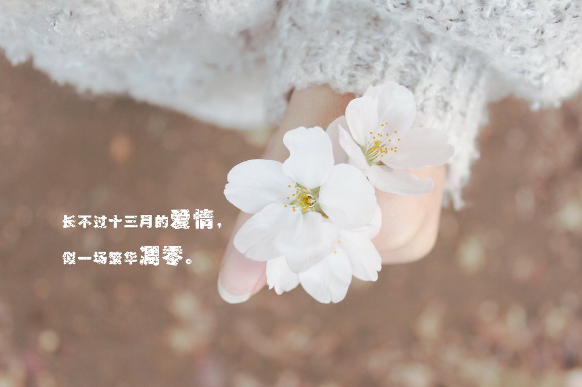 ѹͼƬ