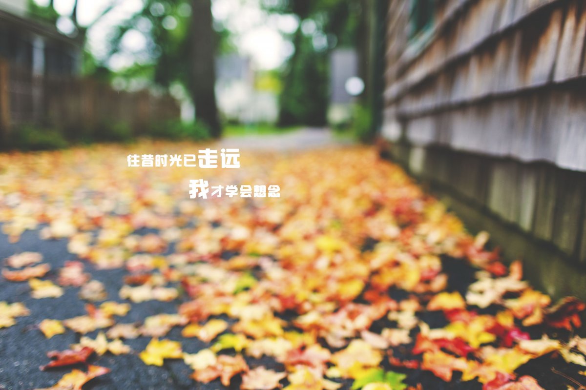 ˸Ψ˵˵ͼƬ