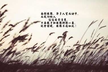 ־¼ͼƬ