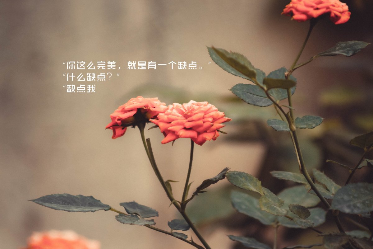 ζ黰ͼƬ