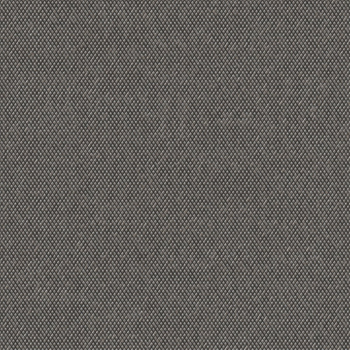 ʱͼƬ