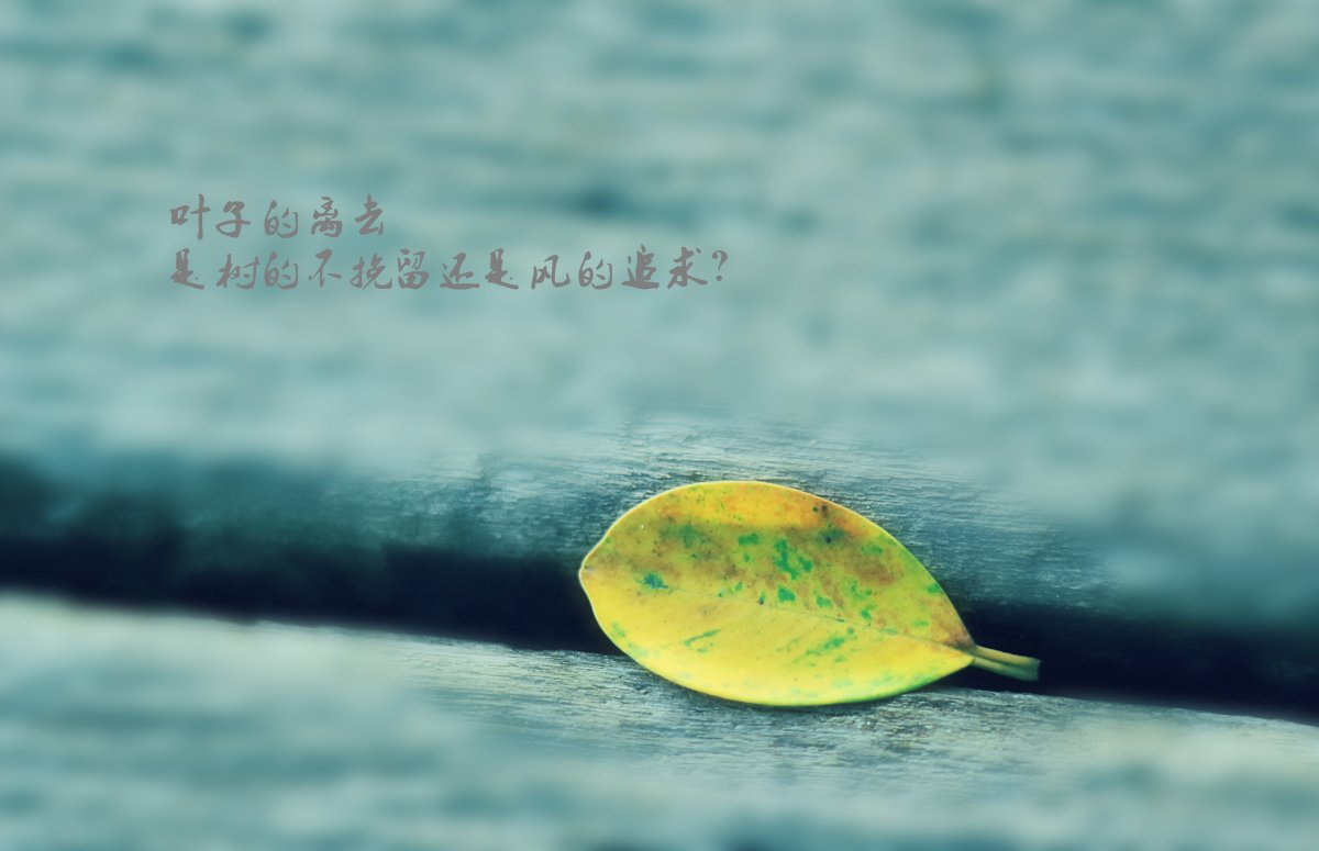˵pptͼƬ