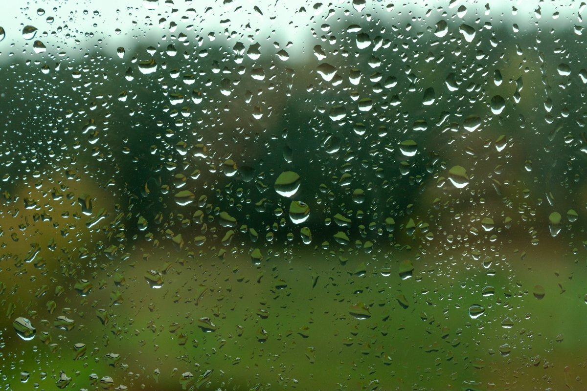 αͼƬ