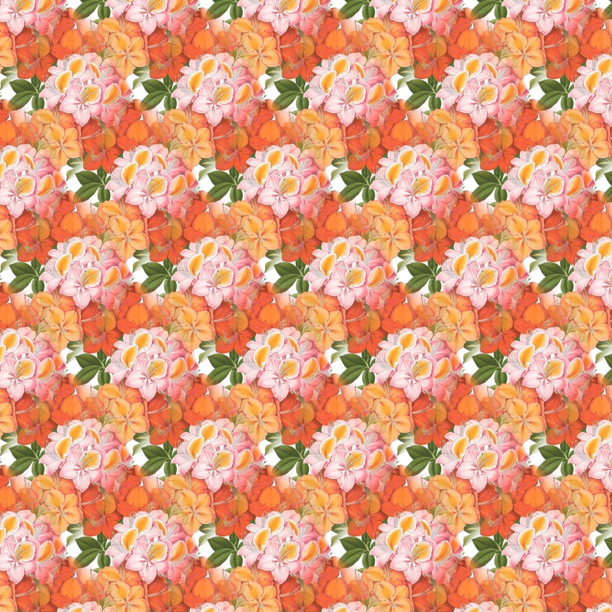 ʻװαͼƬ