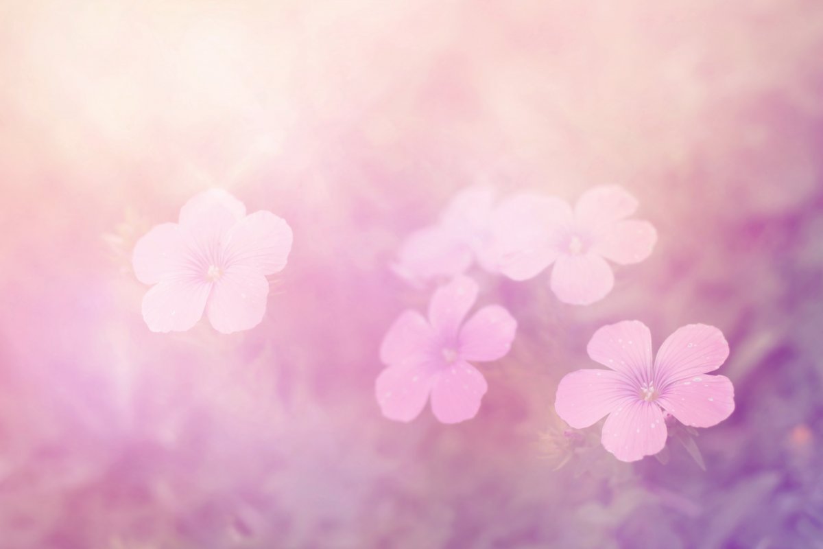 ܱͼƬ