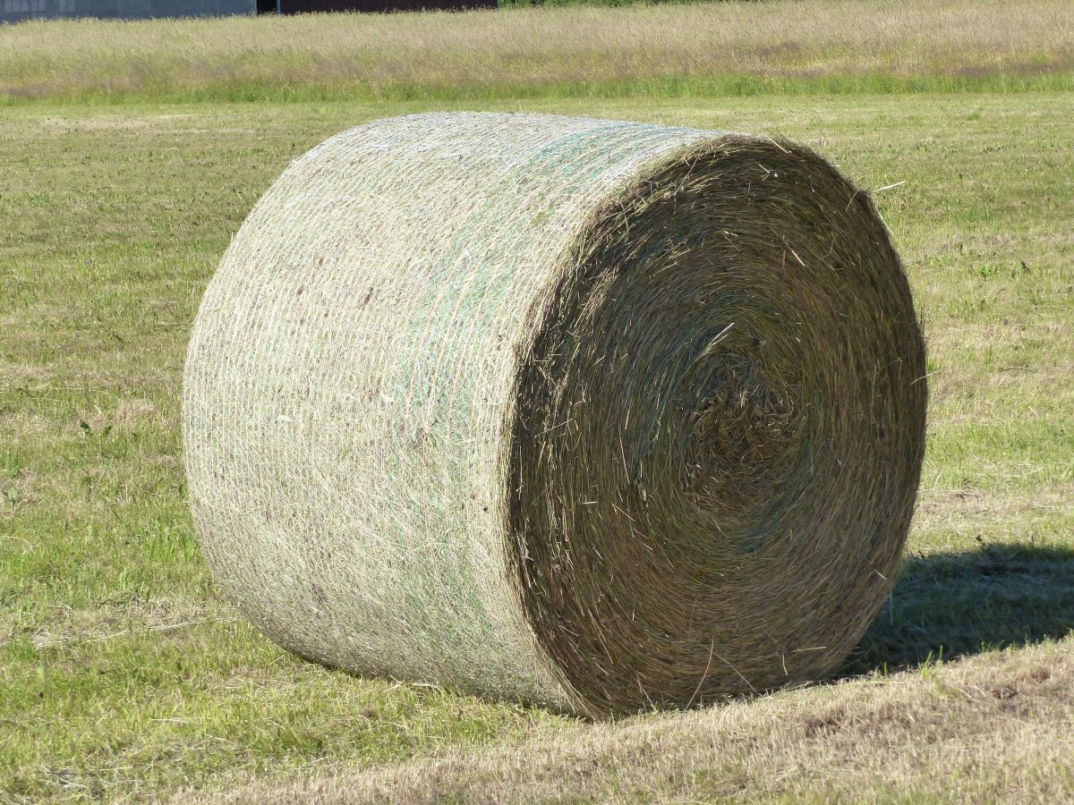 ɲݶдͼƬ