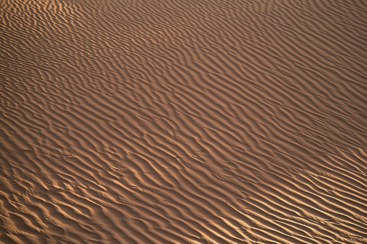 ɳĮpptͼƬ