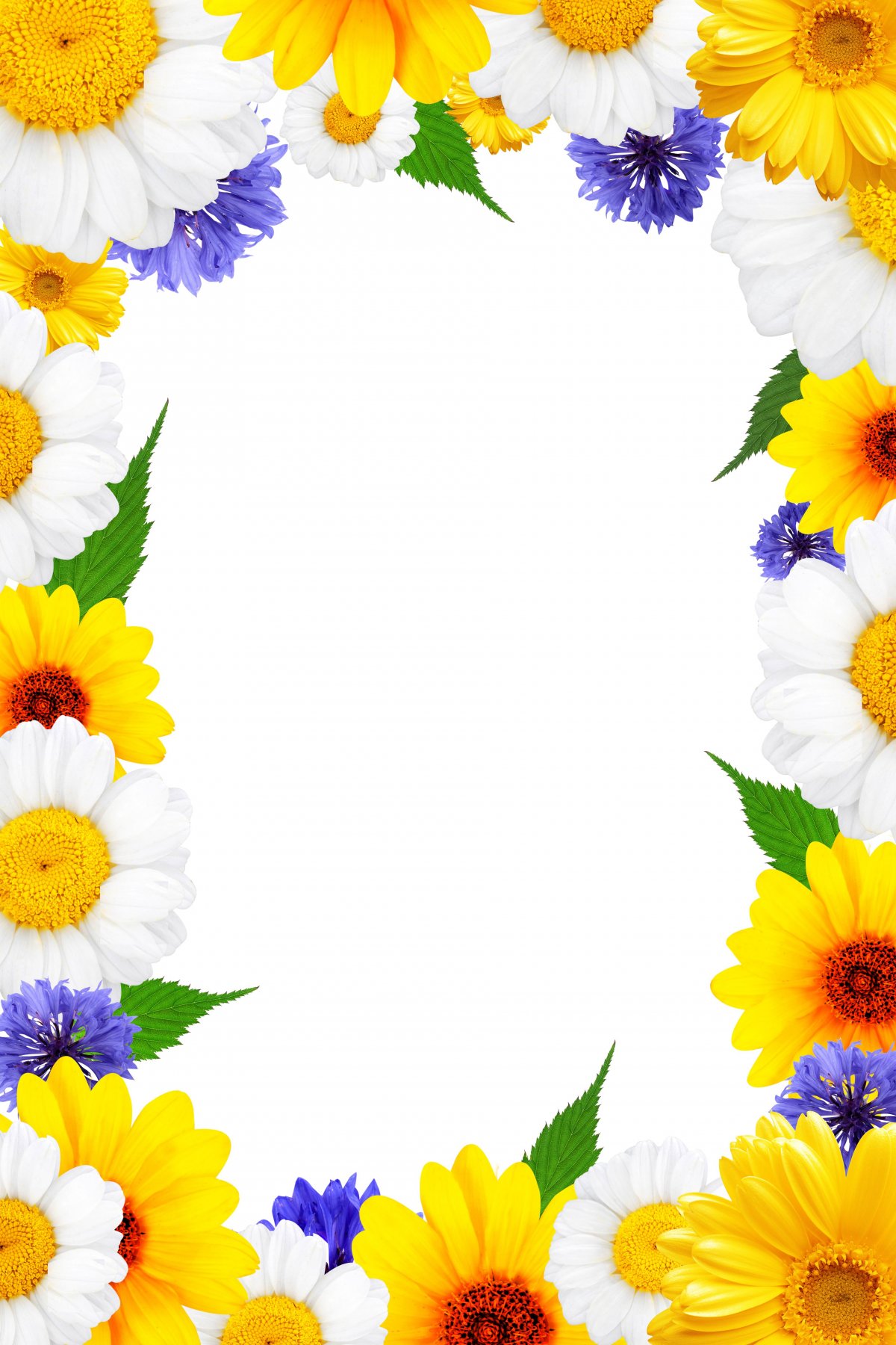 ʻ߿ͼƬ
