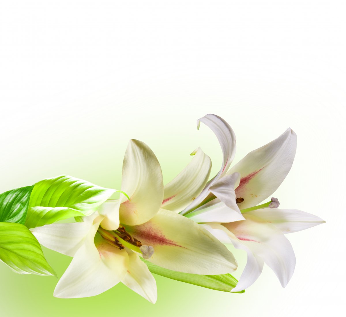 ƯٺϻͼƬ