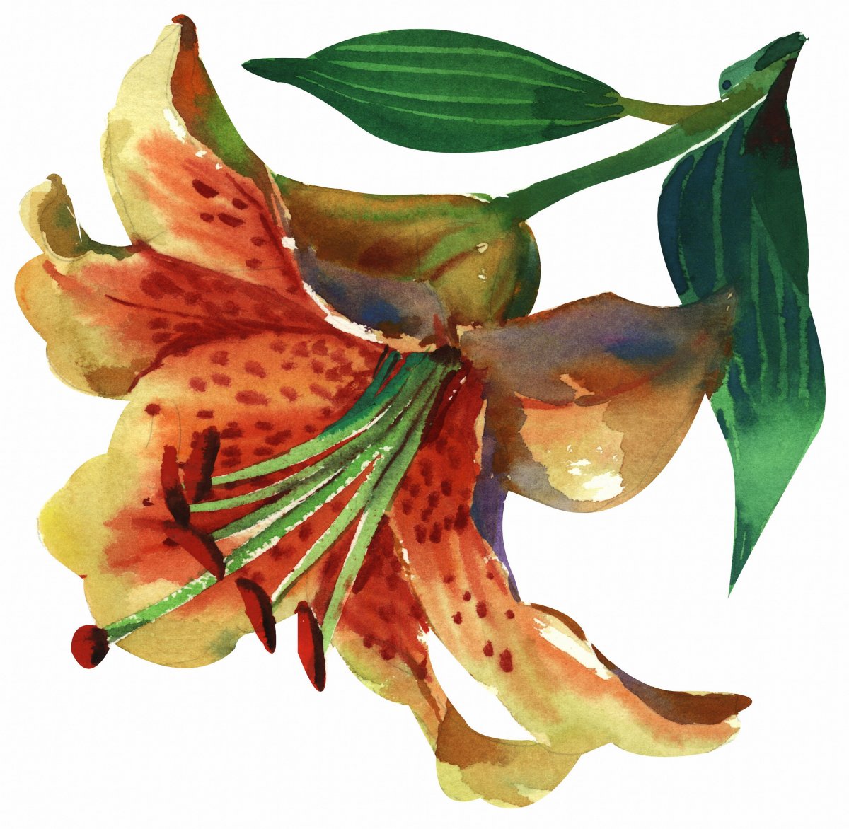 ʻٺͼƬز