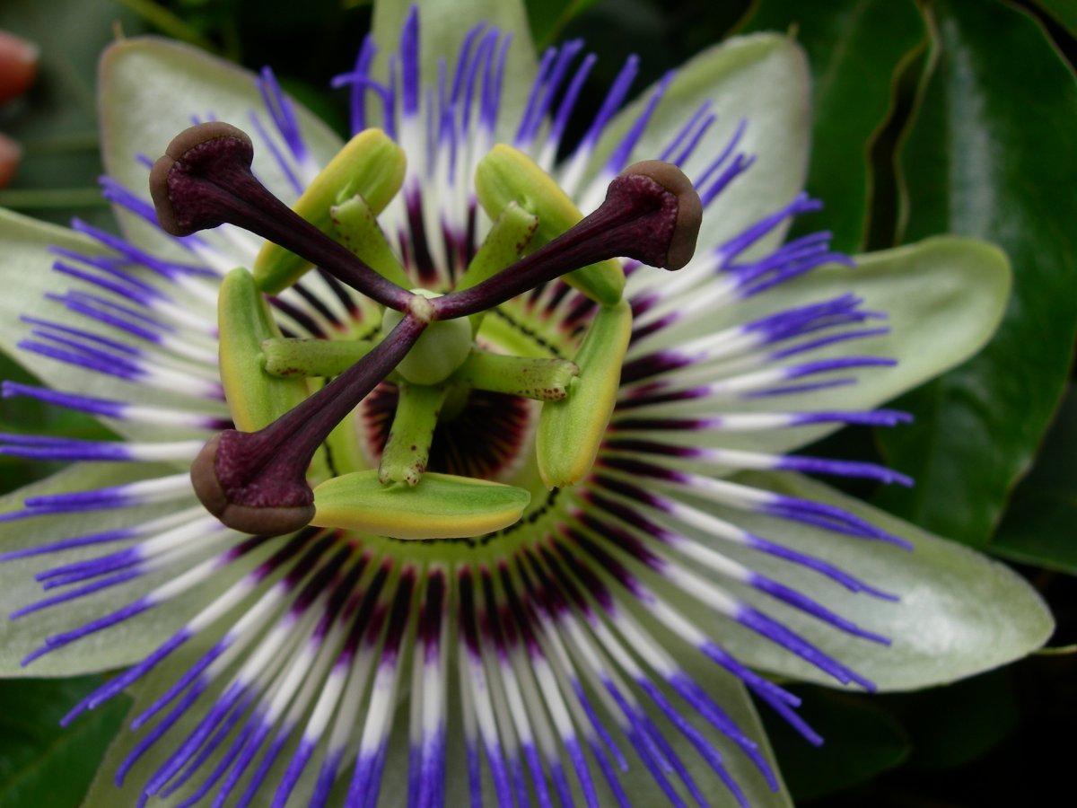 ͼƬ
