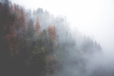 ɽͼƬ