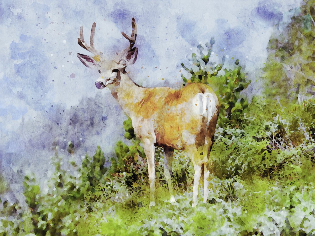 Ұ¹ͻͼƬ